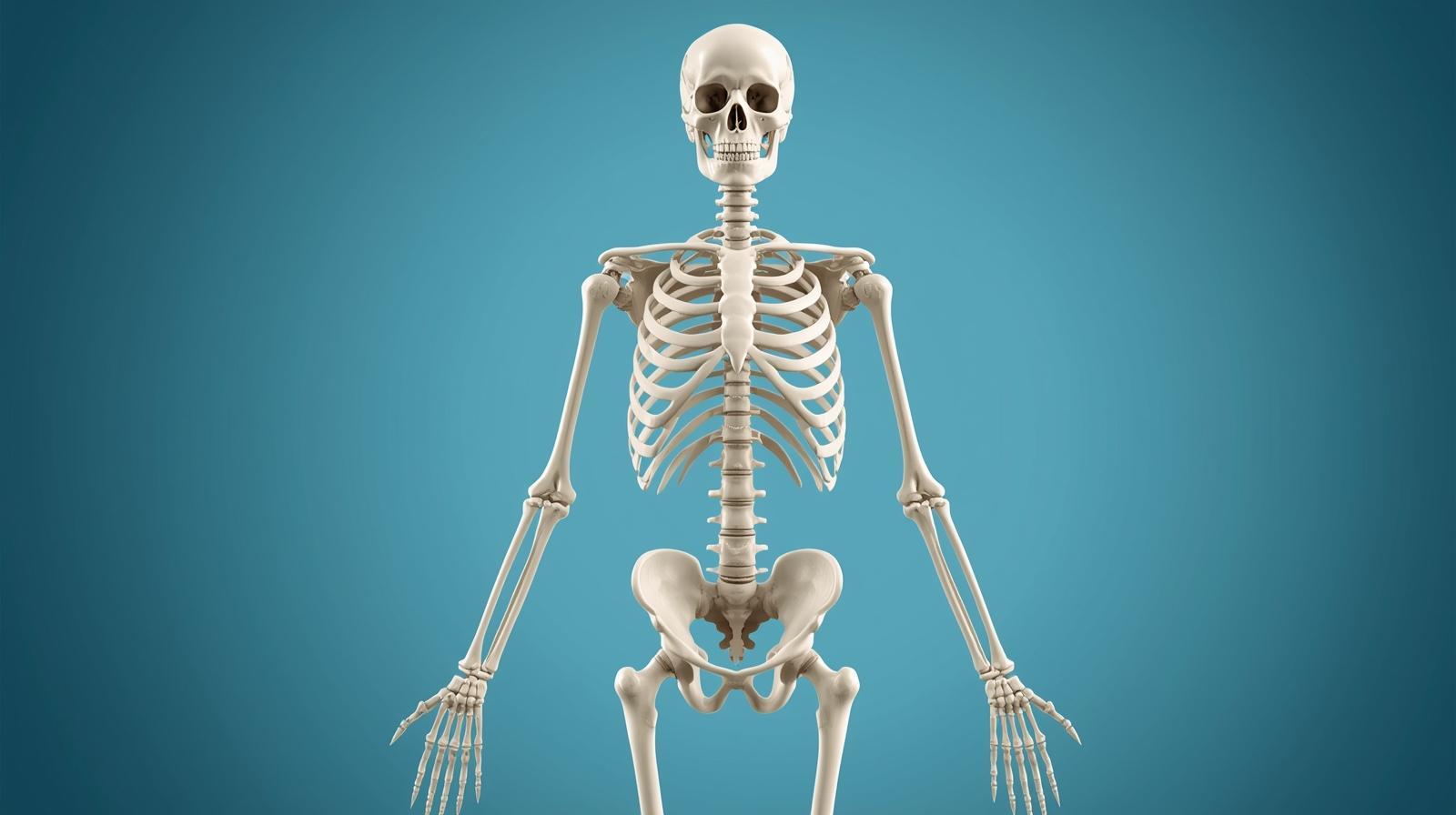 NCLEX Practice — Skeletal System (Exam 6 of 10, 20 Q, 20 min, Pass 80%)
